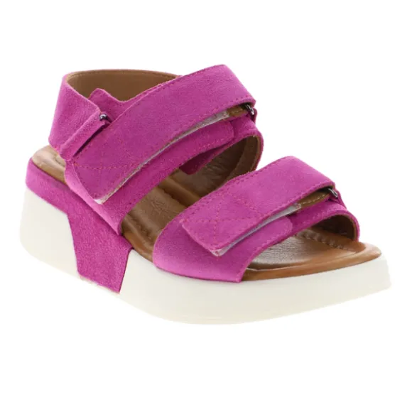 Sovella Women's Maya Pink
