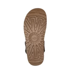 UGG Women's Goldenstar Clog Smoke Plume