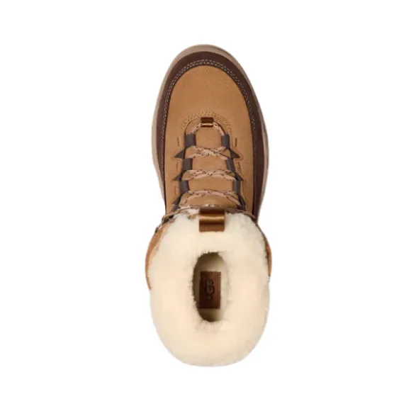 UGG Women's Terretrail Cozy Lace Chestnut